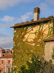 Wall Mural - The village of Montemarcello in the municipality of Ameglia