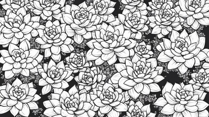 Aufkleber - Black and white image of Sempervivum succulent variety