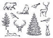 © natality - Vector set of winter forest animals and trees. Vintage collection.