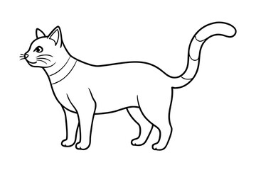  illustration of a cat