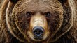 © adobestocker1 - A stunning close-up of a grizzly bear
