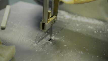 Hands protected with mesh gloves cutting salted cod with an automatic saw