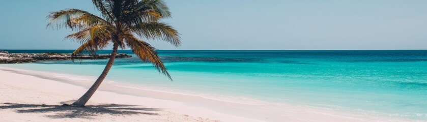 Wall Mural - Solitary palm tree gracing a pristine sandy beach with azure ocean views