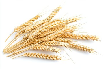 Horizontal wheat ears isolated on a white background with clipping path