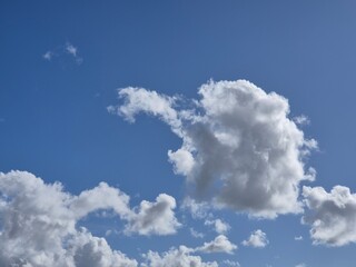 Wall Mural - White clouds in summer sky background