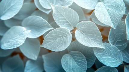 Poster - A close up of a leafy plant with a blue hue