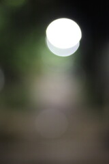 Wall Mural - light in the night