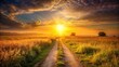 © suchetpong - Sun drenched path through a field at sunset with Golden hour light illuminating the grassy landscape