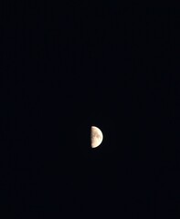 Wall Mural - half moon floating on dark sky in night