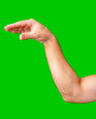 © fotofabrika - human arm gesturing with raised fingers against a bright green backdrop