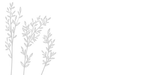 Poster - Minimlaist leaf banner design, elegant foliage, grey and white border design, wide cover background