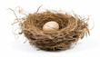© Shameera - A bird nest elevation front view isolated
