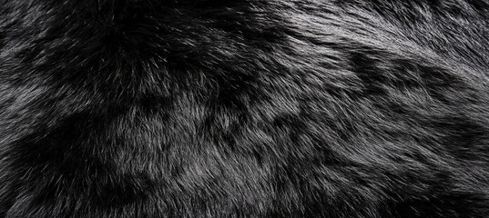 Black Fur Texture, Luxurious Animal Hair Background, Detailed Fluffy Animal Hide Close Up