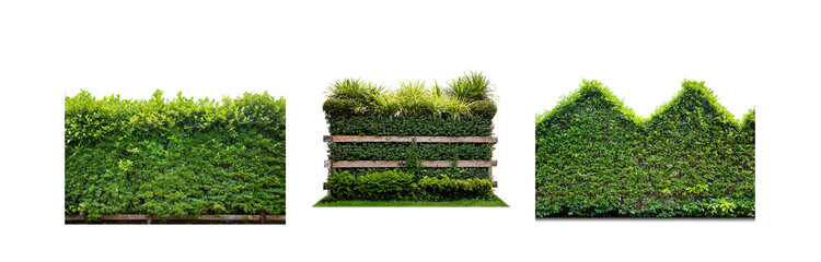 Poster - Three variations of green shrubbery against a white background.