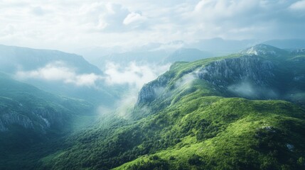 Poster - The mountains are covered in lush green trees and the sky is cloudy