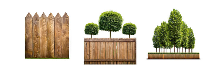 Poster - Three different wooden fences, each with a different type of greenery, are shown against a white background.