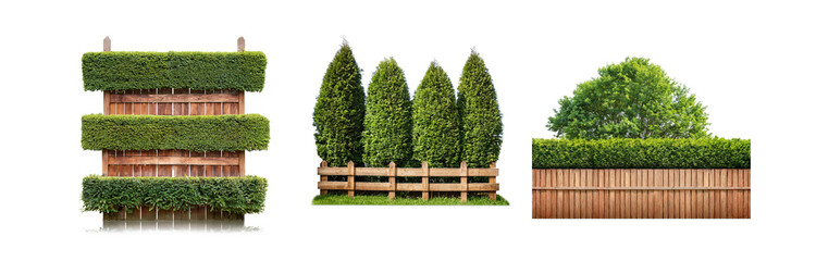 Poster - A white background with three different wooden fences with green hedges and bushes on top.