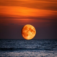 Wall Mural - orange moon rising on ocean horizon
