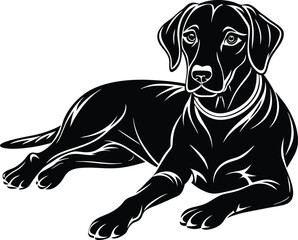 Wall Mural - labrador retriever dog silhouette vector design, isolated on a white background.