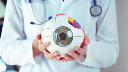 Ophthalmologist Doctor Holding Part of Eye Model