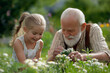 © tynza - Grandfather and granddaughter planting flowers in the garden, both enjoying the sunny day.