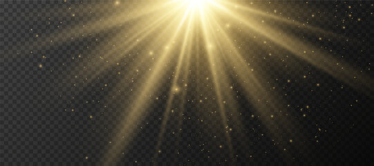 Wall Mural - yellow glowing light explodes on a transparent background. sparkling magical dust particles. bright 