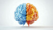 © Win Warinton - colorful 3D illustration of brain, split into blue and orange halves, symbolizing different cognitive functions and emotional states. vibrant colors highlight brains complexity