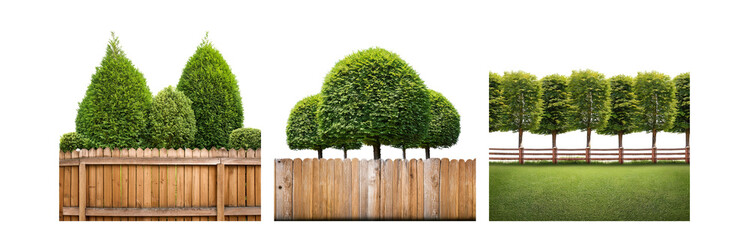 Poster - A wooden fence separates a lush green lawn and a row of trees.