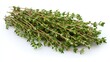 © stopcontrol - A bunch of fresh thyme sprigs with tiny, fragrant green leaves, laid out on a white background