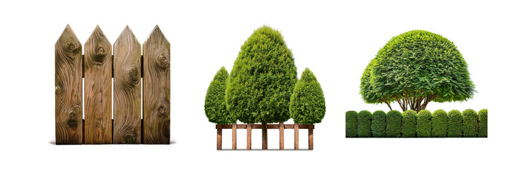 Poster - Three images of greenery and wooden fence.
