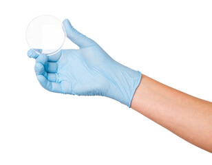 Hand in medical gloves holding a small Petri dish on an empty background. Laboratory use, microbiology, scientific research.