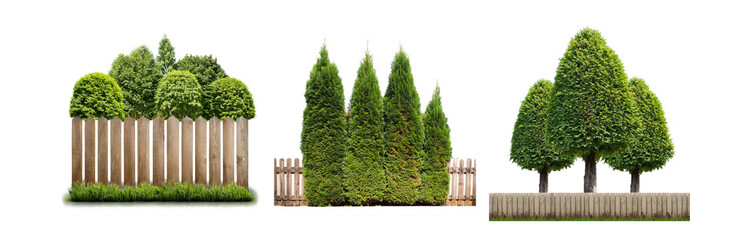 Poster - A wooden fence with lush green trees and grass.