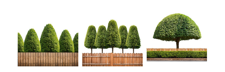 Poster - A collection of trimmed trees and hedges stand behind wooden fences with a white background.