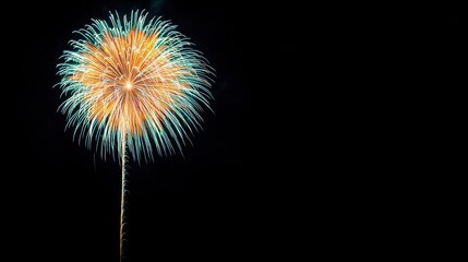 Poster - Captivating Fireworks Display Lighting Up the Night Sky
