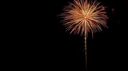 Poster - Vibrant Fireworks Explosion Lighting Up the Night Sky in a Colorful Display