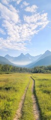 Wall Mural - A road runs through a grassy field with mountains in the background