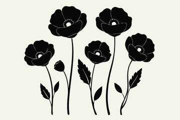 poppies flower vector illustration white background D.eps