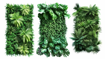 set of green garden walls with tropical plants