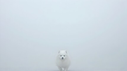 Aufkleber - Ghostly Ethereal Dog Apparition Running Through Misty Foggy Park Landscape  Surreal Conceptual 3D Digital of Paranormal Canine Creature in Atmospheric Moody Environment