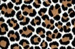 © SuriyaPhoto - Brown and black leopard pattern.Fur animal print as background. , isolated on white background,  , copy space for text,