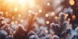 © pham - 冬の森での雪が舞い散る中、朝日が輝く中。霜で覆われた木々が美しい光景を作り出す。