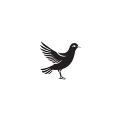 Wall Mural - Seagul bird logo icon vector