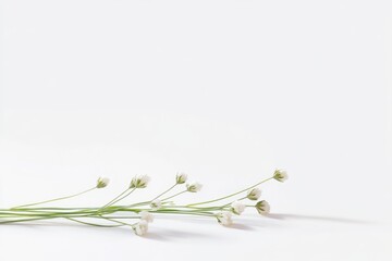 Poster - A bouquet of white flowers sits atop a table, ideal for decorative purposes or as a prop in still-life photography