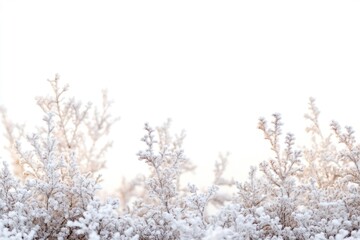 Poster - A bird perches on the branches of a tree covered in snow, a winter scene