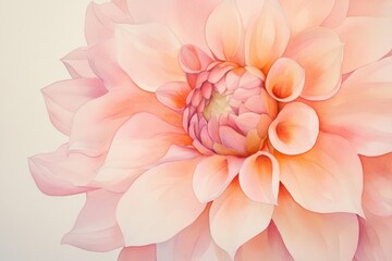 Wall Mural - Close-up of a single pink flower against a pure white background, ideal for use in designs and illustrations