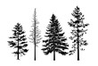 © Miklos - Winter Pine Trees Silhouette Vector Set
