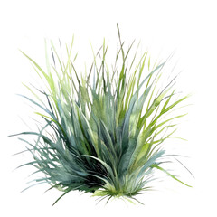 Wall Mural - png green neptune grass bushes illustration watercolor plant.