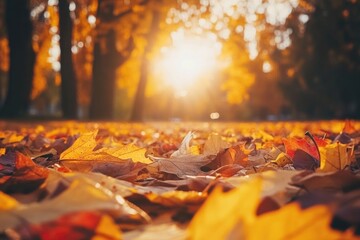 Aufkleber - A bunch of leaves are laying on the ground