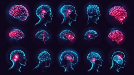 Poster - Anatomically correct illustrations of the human brain with glowing highlights