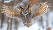 © Teerasak - A great horned owl spreading its wings as it prepares to fly, isolated on white background